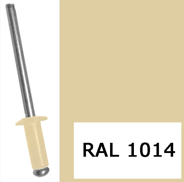 Заклепки RAL1014 4,0х10 (Изображение 1)