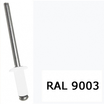 Заклепки RAL9003 4,0х10 (Изображение 1)