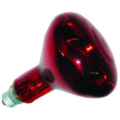 Лампа для обогрева ИКЗК 215-225-250 (Изображение 1)