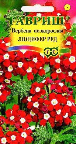 картинка Вербена Люцифер Ред 0,05 г Г семена от магазина Евродом