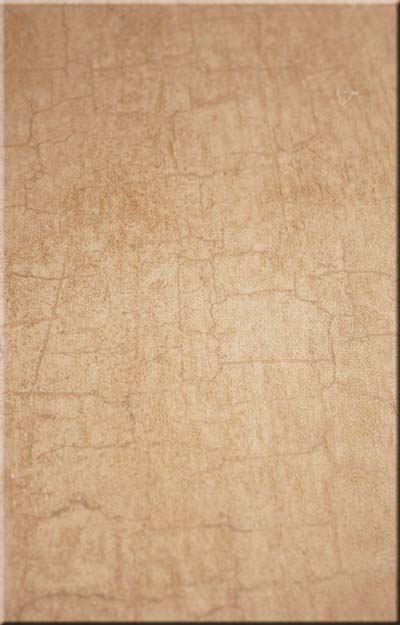 картинка Панель Кожа 0,25х2,7м Экопласт от магазина Евродом