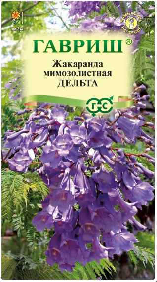 картинка Жакаранда Дельта 3шт (Ц) Г семена от магазина Евродом