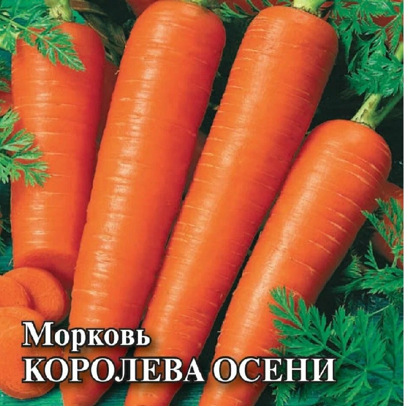 картинка Морковь Королева Осени 25г Г семена от магазина Евродом