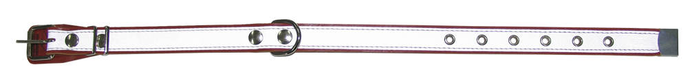 картинка Ошейник 25 светоотр. (40-54смх25мм) от магазина Евродом
