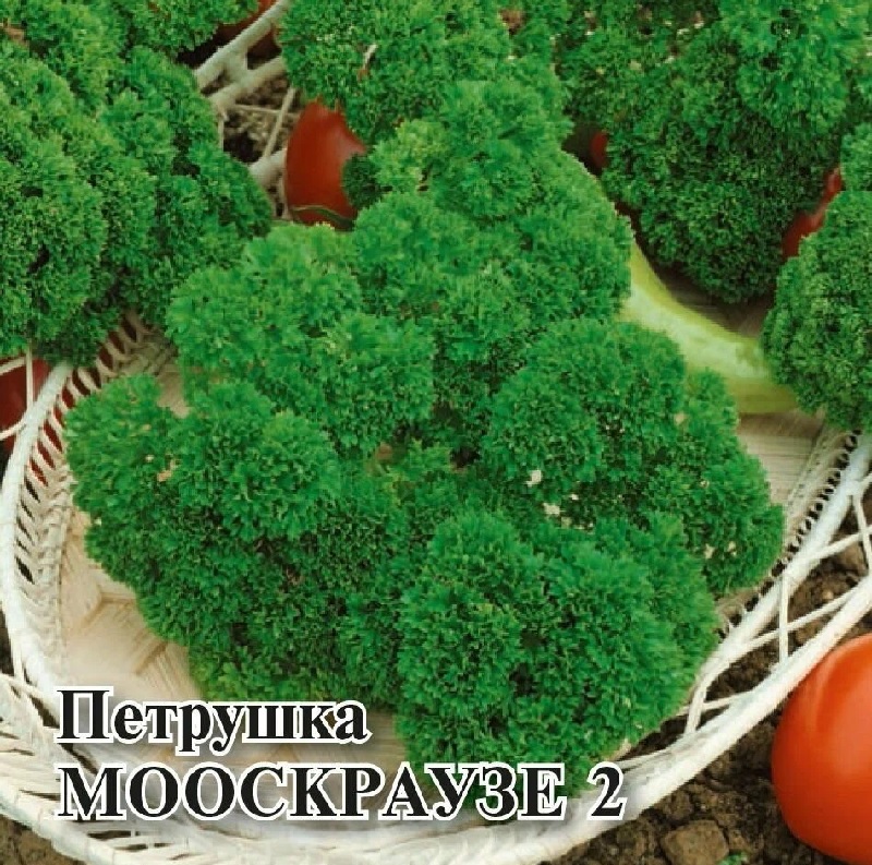картинка Петрушка кудрявая Москраузе 2 25г Г семена от магазина Евродом