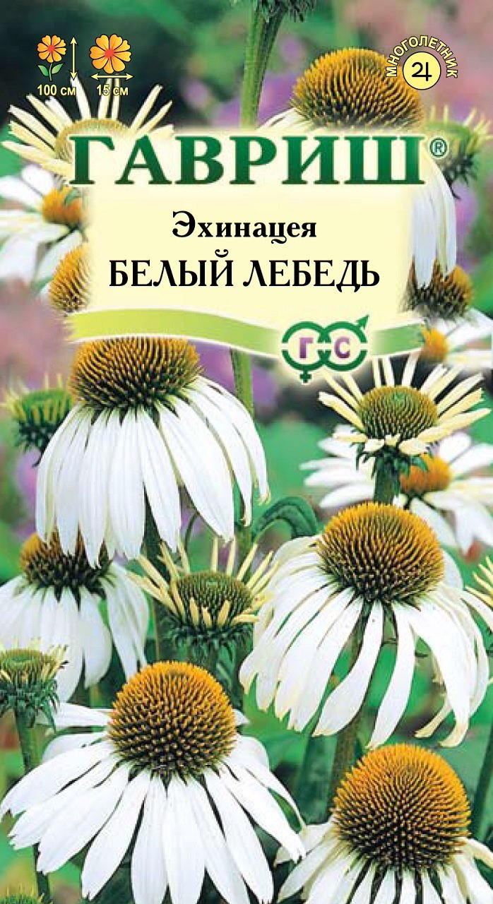 картинка Эхинацея Белый лебедь 0,1 г Г семена от магазина Евродом