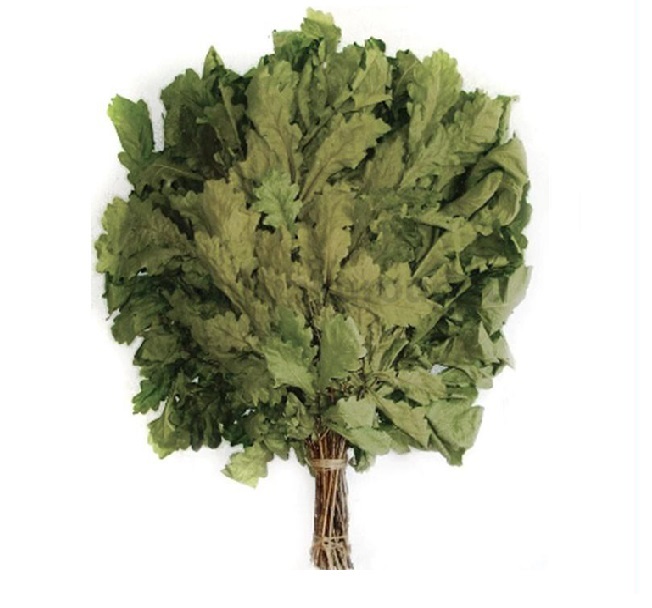 картинка Веник для бани дубовый от магазина Евродом