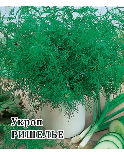 картинка Укроп Ришелье 25г Г семена от магазина Евродом