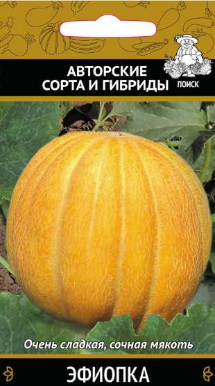 картинка Дыня Эфиопка 15шт П семена от магазина Евродом