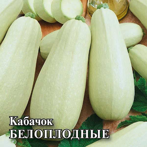 картинка Кабачок Белоплодные 25г Г семена от магазина Евродом