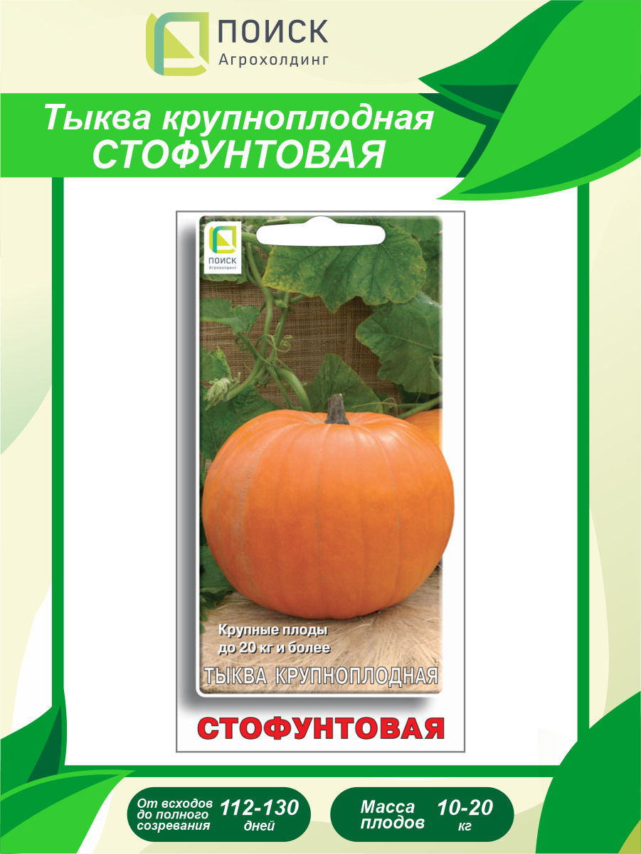 картинка Тыква Стофунтовая 10 шт П семена от магазина Евродом