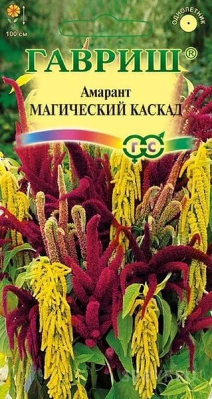картинка Амарант Магический каскад смесь 0,1 г Г семена от магазина Евродом