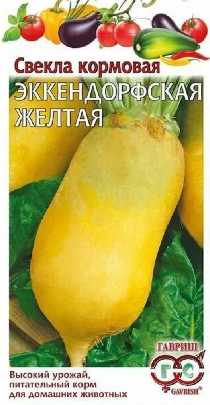 картинка Свекла кормовая Эккендорфская желтая 10г Г семена от магазина Евродом