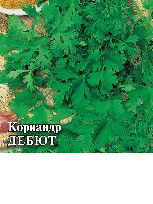 картинка Кориандр Дебют 25 г Г семена от магазина Евродом