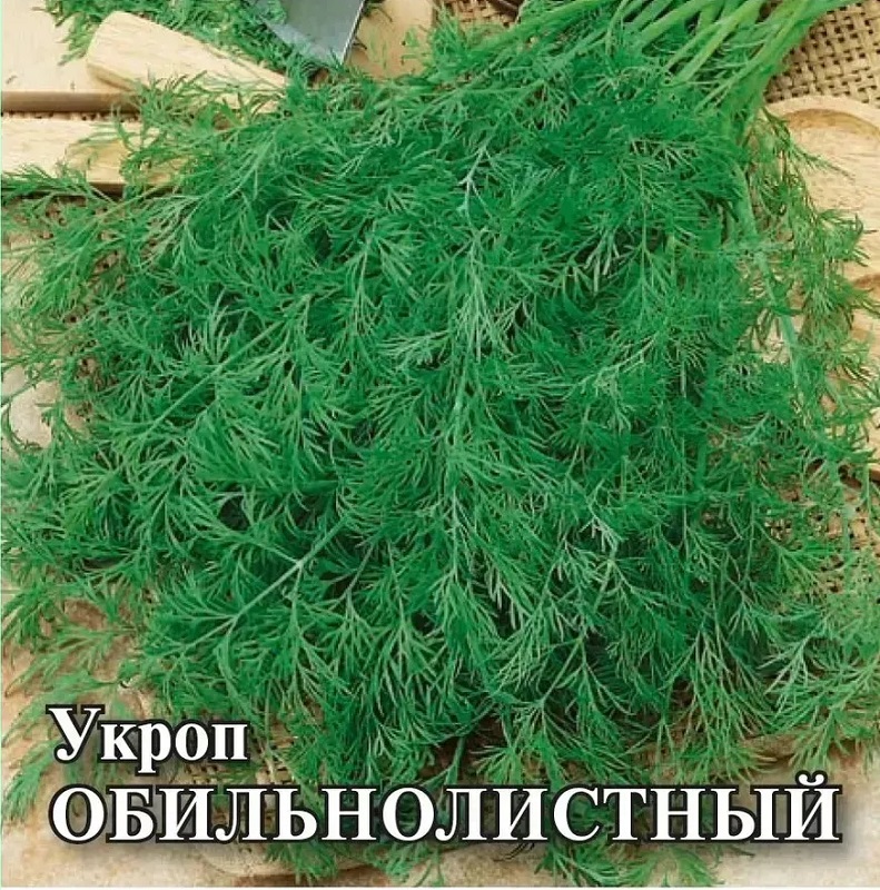 картинка Укроп Обильнолистный 25г Г семена от магазина Евродом