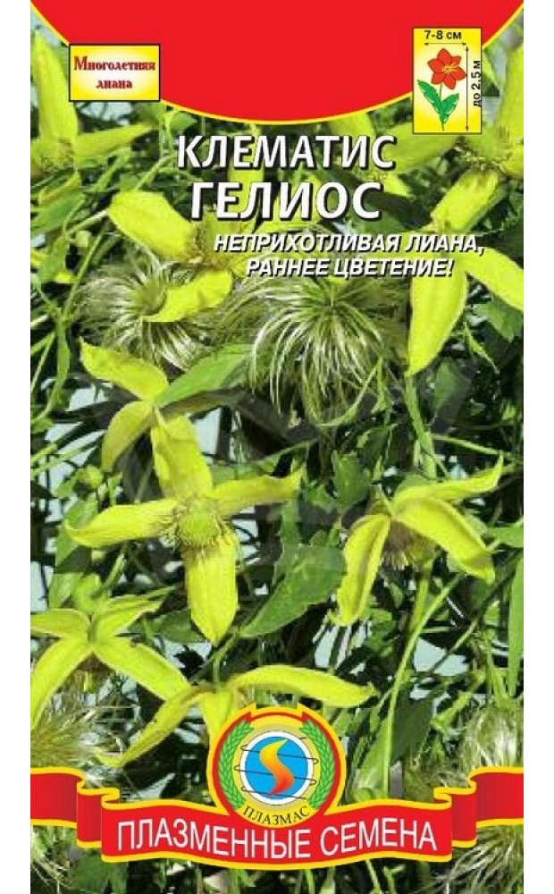 картинка Клематис Гелиос 10 шт ПЛ семена от магазина Евродом