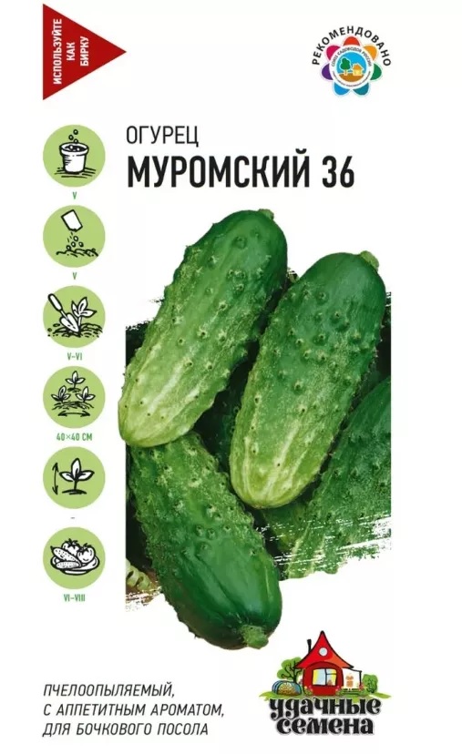 картинка Огурец Муромский 36 0,5г Г семена от магазина Евродом