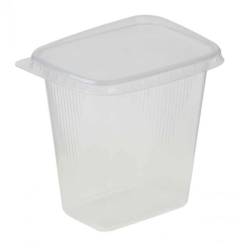 картинка Контейнер одноразовый 500 мл 186х132 мм от магазина Евродом