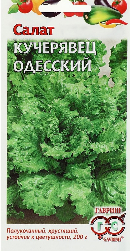 картинка Салат Кучерявец Одесский 0,5г хрустящий Г семена от магазина Евродом