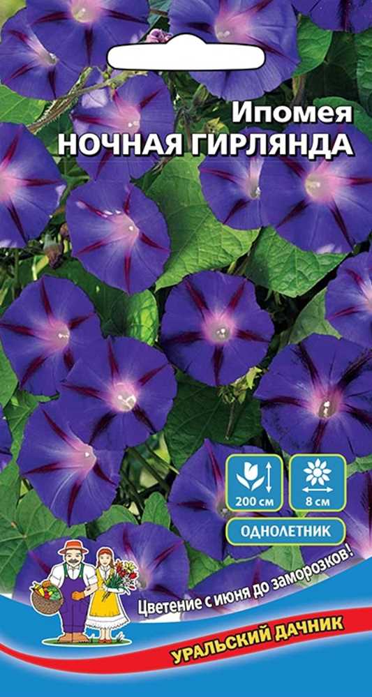 картинка Ипомея Ночная гирлянда УД семена от магазина Евродом