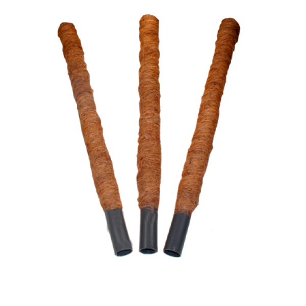 картинка Кокос ствол 60см d32мм  от магазина Евродом