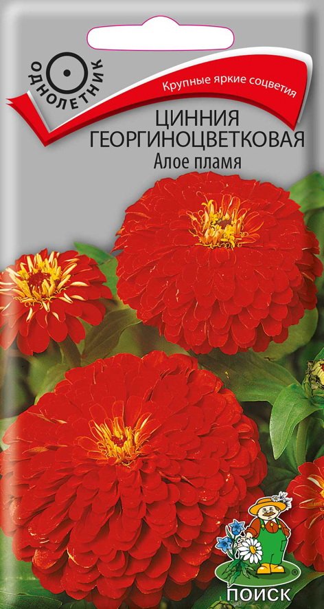 картинка Цинния Алое пламя 0,4 г П семена от магазина Евродом
