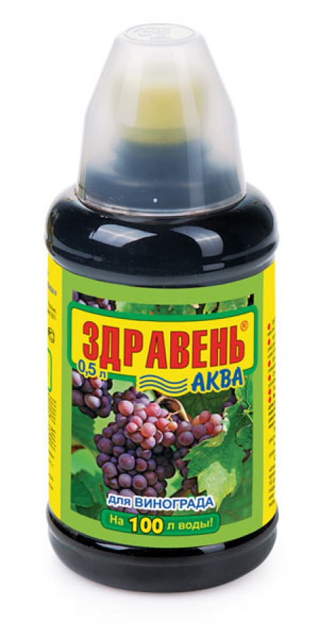 картинка Здравень Аква виноград 0,5л ВХ от магазина Евродом